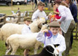 Malton Show 2024